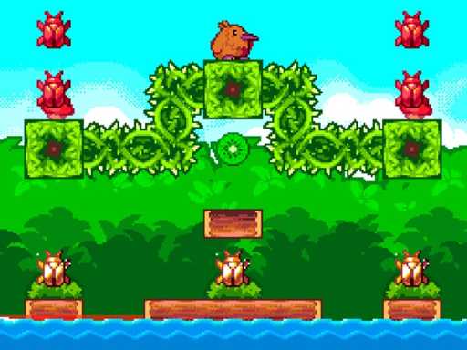 Super Kiwi Adventure - 2021